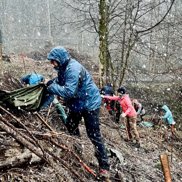 Pflanzung unter fallendem Schnee