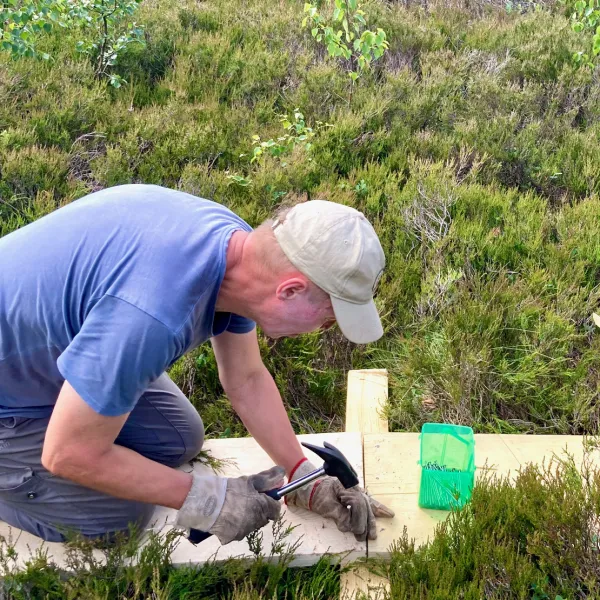 Bohlenwegerweiterung im Roten Moor