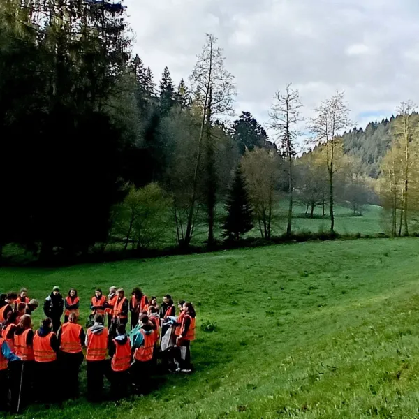 Instruktion fürs Ampferstechen