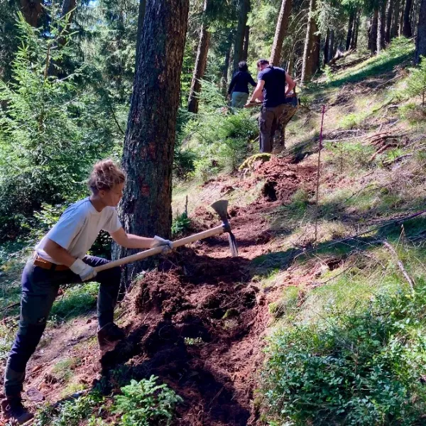 Menschen hacken einen Pfad in den Hang